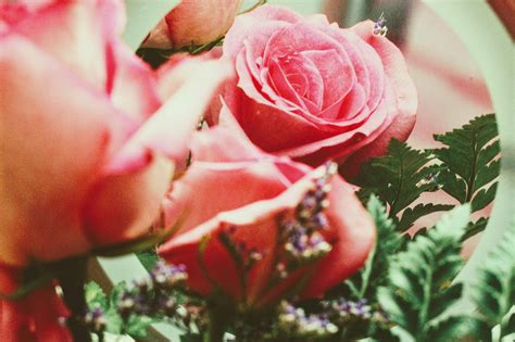 Pink Petaled Flowers Arrangement · Free Stock Photo