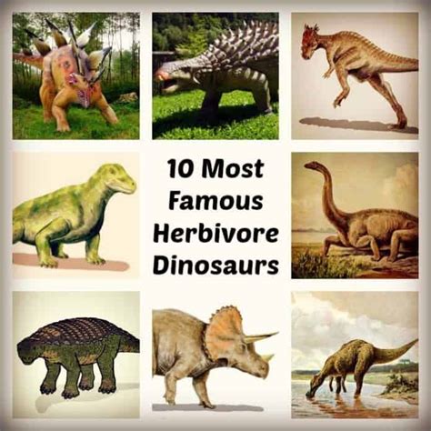 Herbivore Dinosaurs Names