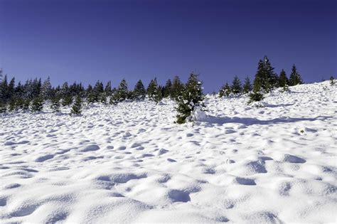 Free picture: snow, winter, cold, mountain, hill, landscape, ice, sky, forest