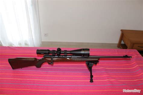 Carabine savage série B17G chambrée en 17 HMR - lunette Hawke vantage 6 ...