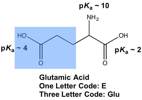 MCAT Amino Acids: What to Know - Magoosh MCAT Blog