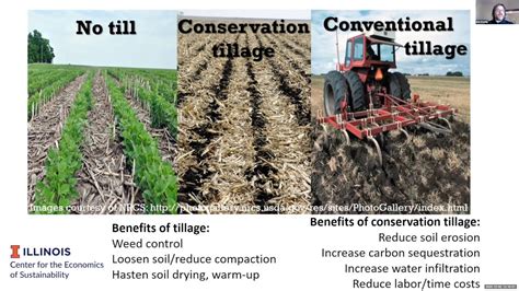 How Is Conservation Tillage Done? Trust The Answer - Chiangmaiplaces.net