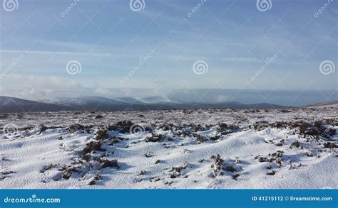 Snowy Winter in Ireland stock photo. Image of small, ireland - 41215112