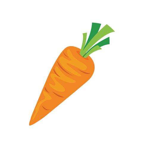 Carrot fruit cartoon vector illustration isolated on white background ...