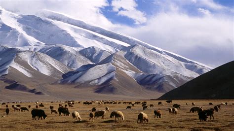 Travel To Pamir Mountains Central Asia - XciteFun.net