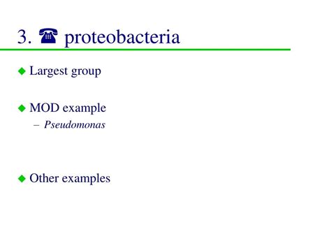 PPT - Prokaryotic microbes PowerPoint Presentation, free download - ID:2983581