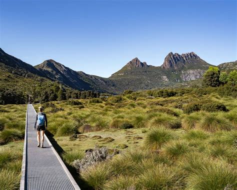 Hiking Cradle Mountain - The Best Cradle Mountain Walking Tracks