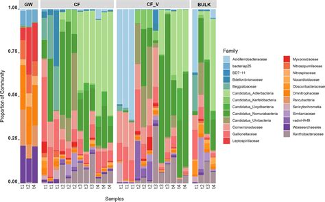 Frontiers | Different Effects of Mineral Versus Vegetal Granular Activated Carbon Filters on the ...