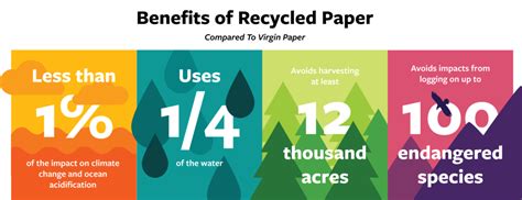 Why your office should use recycled paper - The Green Office