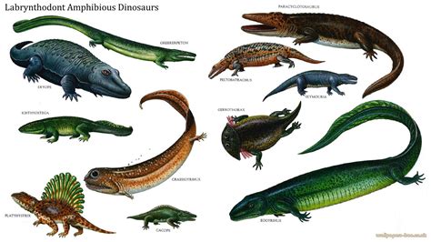 Labrynthodonts - Amphibious Dinosaurs | Prehistoric wildlife, Prehistoric animals, Prehistoric ...