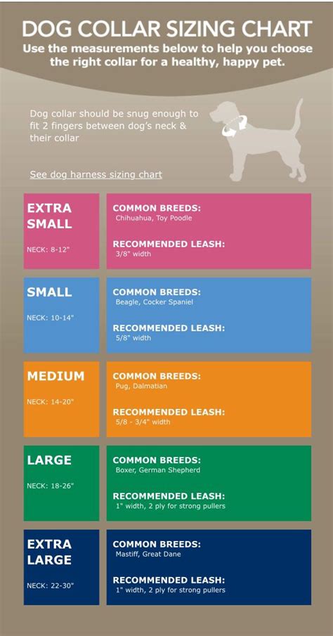 Puppy Collar Size Guide - dog collar size chart cm - Google Search ...