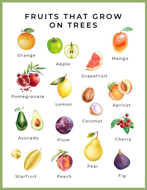 FREE Printable Fruits That Grow on Trees | Fruit, Tree, Growing