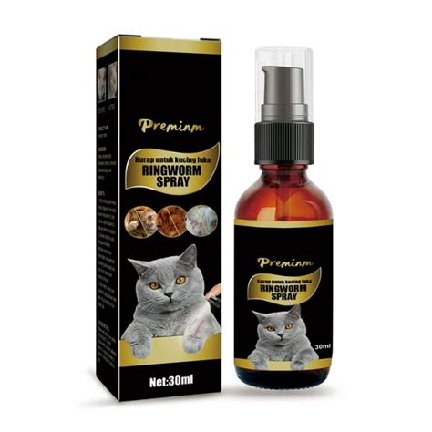 Ringworm Treatment Cats