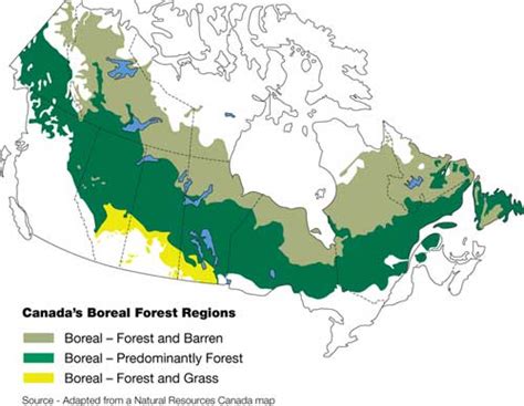 Boreal Forest Canada Map - Black Sea Map