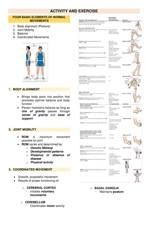 MOD 9 - 1 - Activity & Exercise - ACTIVITY AND EXERCISE FOUR BASIC ELEMENTS OF NORMAL MOVEMENTS ...