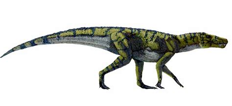 Baurusuchus - Dinopedia - the free dinosaur encyclopedia