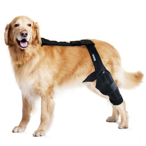 Buy MerryMilo Dog Knee Brace For Support With Cruciate Ligament Injury, Joint Pain And Muscle ...