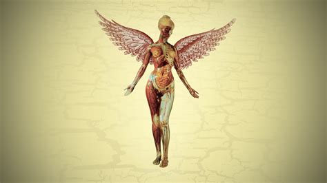 Wallpaper : Nirvana, album covers, anatomy, wings, simple background, In Utero, music, artwork ...