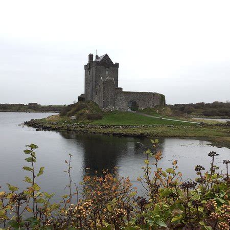 Dungaire Castle (Kinvara): AGGIORNATO 2019 - TUTTO quello che c'è da sapere - TripAdvisor