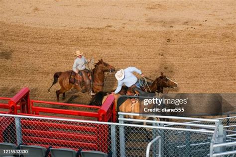 Wild Horse Bronco Photos and Premium High Res Pictures - Getty Images