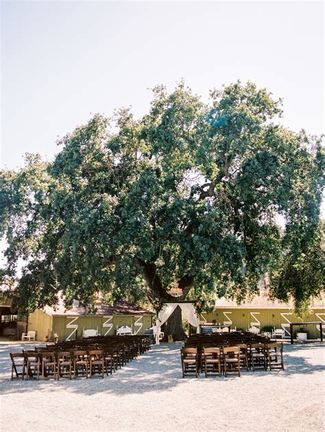 Jennifer + Matt — Mike Thezier Photography