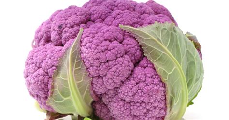 8 Easy Purple cauliflower Recipes