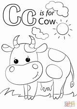 C Cow Coloring Pages  Home sketch template
