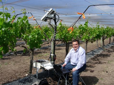 Viticulture de précision | Définition et techniques.