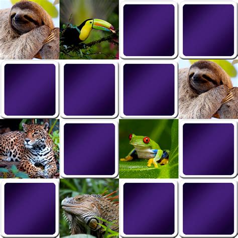 Play matching game for kids - Tropical animals - Online & Free | Memozor