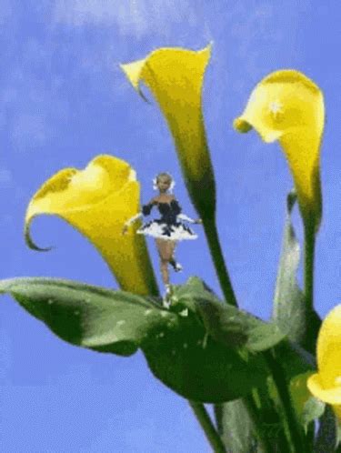 Blooming Flower GIF - Blooming Flower - Discover & Share GIFs