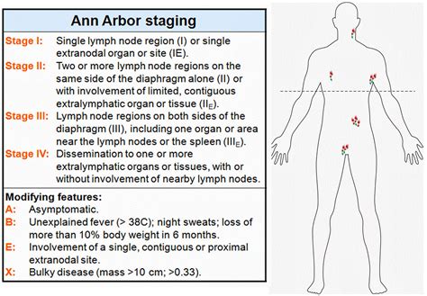 Ann Arbor staging(Hodgkin Lymphoma) | Free medical, Medical, Oncology ...