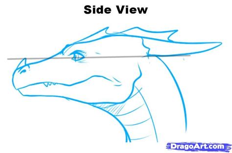 Dragon Head - Side View | Dragon drawing, Dragon head drawing, Dragon ...