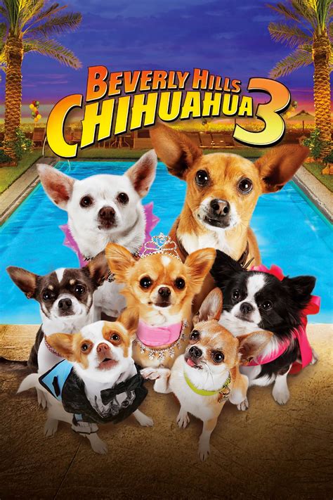 Beverly Hills Chihuahua 3: Viva La Fiesta! (2012) :: Greek subtitles, Greek subs