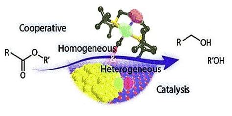 Differences between Homogeneous Catalysis and Heterogeneous Catalysis ...