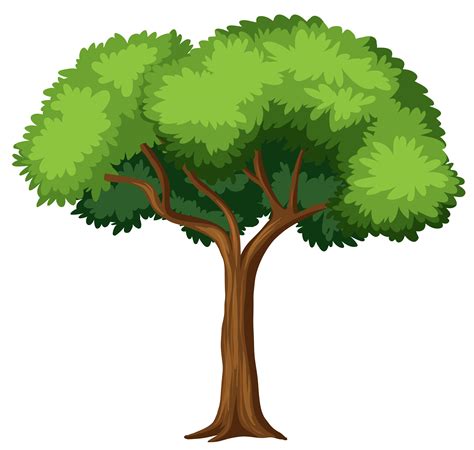 Tree Vector Background