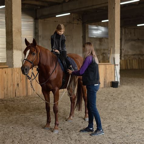 Horseback Riding Lessons: How to Start & What to Expect ...