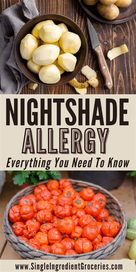 Nightshade Allergy 101 Guide | Food allergies, Food sensitivities, Food substitutions