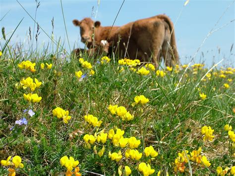 'With support, most are enthusiastic about farming for nature' - Agriland.ie