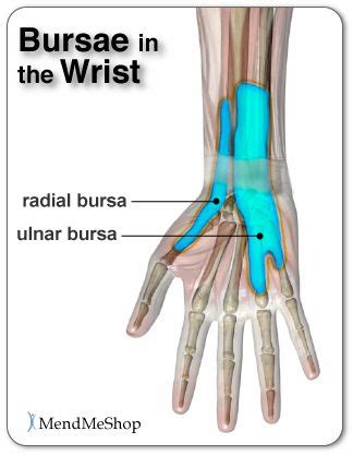 Bursae in the Wrist and Bursa Pain | Bursitis, Joints pain relief ...