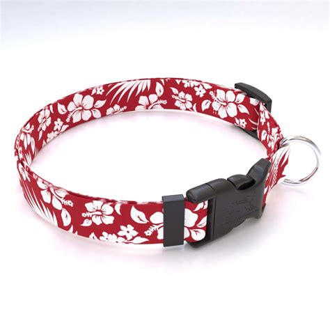 Yellow Dog Design | Dog Collars, Leashes, Harnesses & More