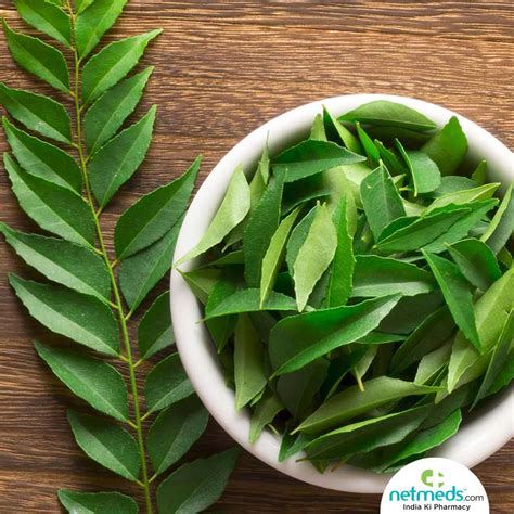 Curry Leaves: Medicinal Uses, Therapeutic Benefits For Hair, Diabetes ...