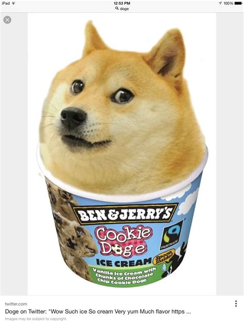 Such cookie doge much wow | Funny dog memes, Doge meme, Funny doge