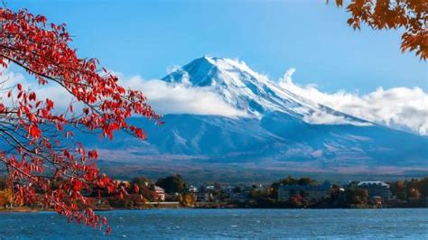 Mt.Fuji Viewing and Lake Kawaguchi Accessible Tour - Accessible Japan