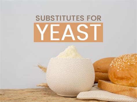 Best Yeast Substitutes For Baking - Boldsky.com