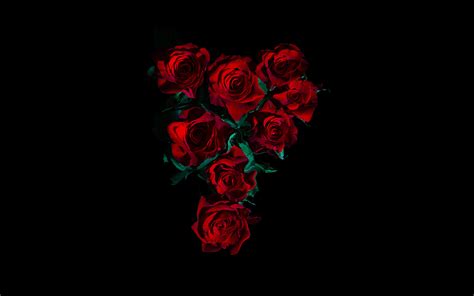 Bunch Of Rose With Black Background