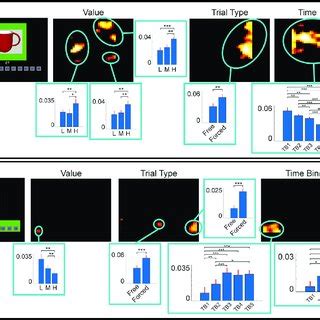 Fixation locations. Heatmaps indicating fixation location differences ...