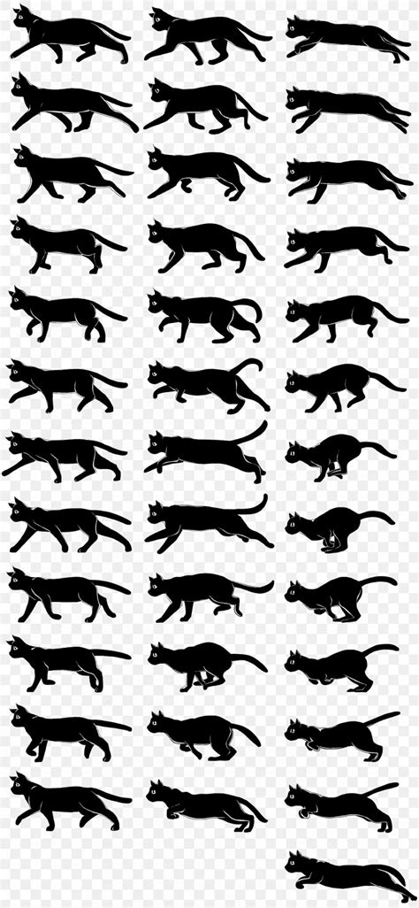 Walk Cycle Animation Cat Drawing Walking, PNG, 1196x2591px, Walk Cycle ...