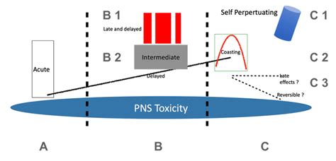 A schematic representation of the time course of toxic neuropathy... | Download Scientific Diagram