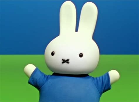 Category:Characters | Miffy & Friends Wikia | Fandom