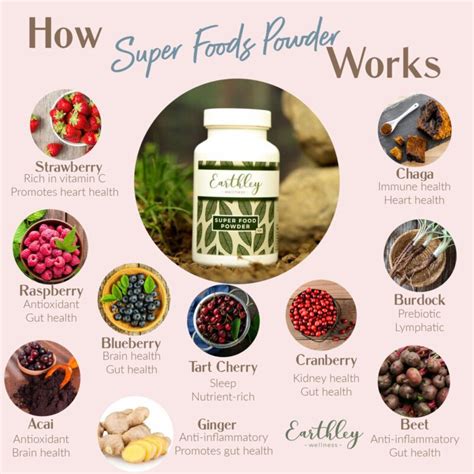 Super Foods Powder – For Gut Health and Nutrition | Earthley Wellness